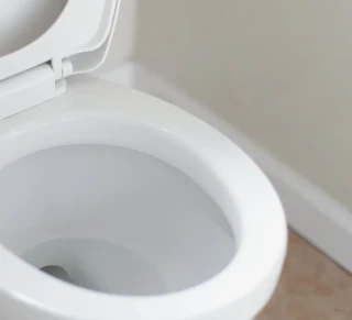 Držač osveživača se zaglavio u WC šolju