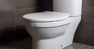 Popustio silikon oko WC šolje